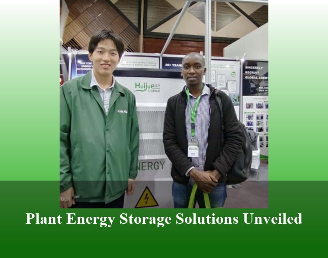 Plant Energy Storage Solutions Unveiled
